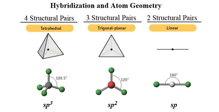 Molecular Model Set- hybridization and geometry