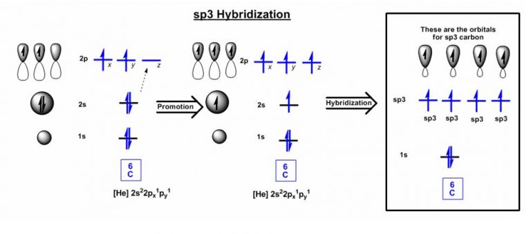 atomic hybridization sp3