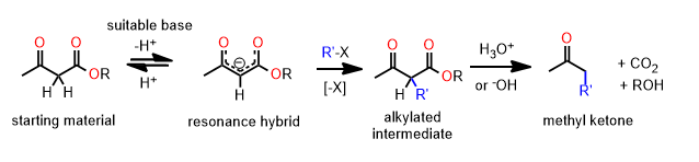 acetoacetic ester synthesis scheme