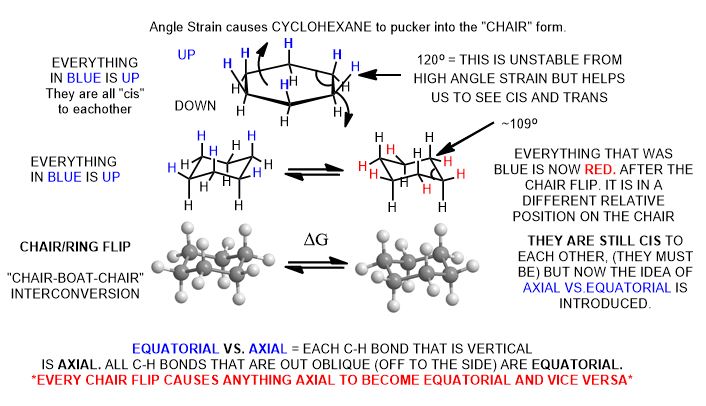 Conformatinal Analysis - Chair cyclohexane