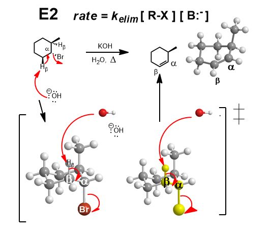 E2 reaction elimination bimolecular